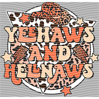 Country music-CM-973